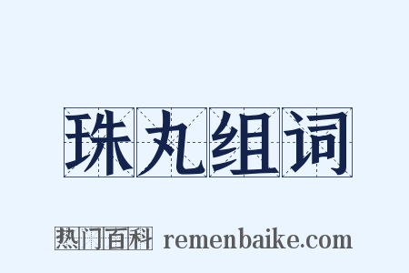 珠丸组词是什么意思的图片